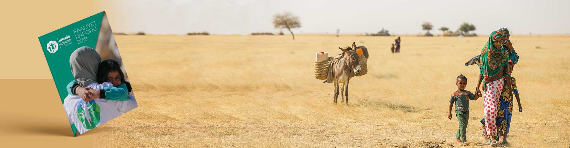 2019 Yılı Faaliyet Raporu