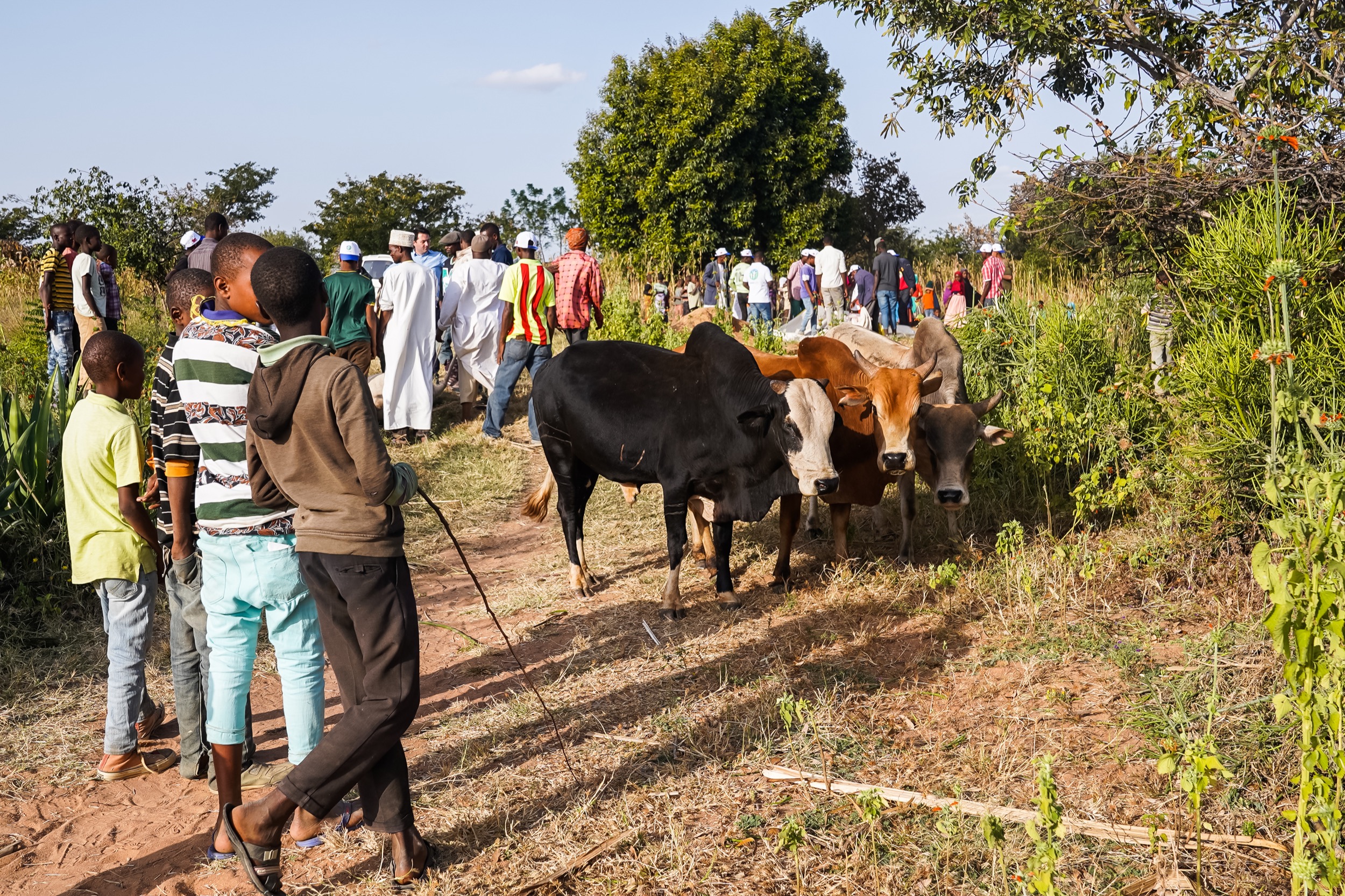 ADAK KURBAN DAĞITIMLARIMIZ